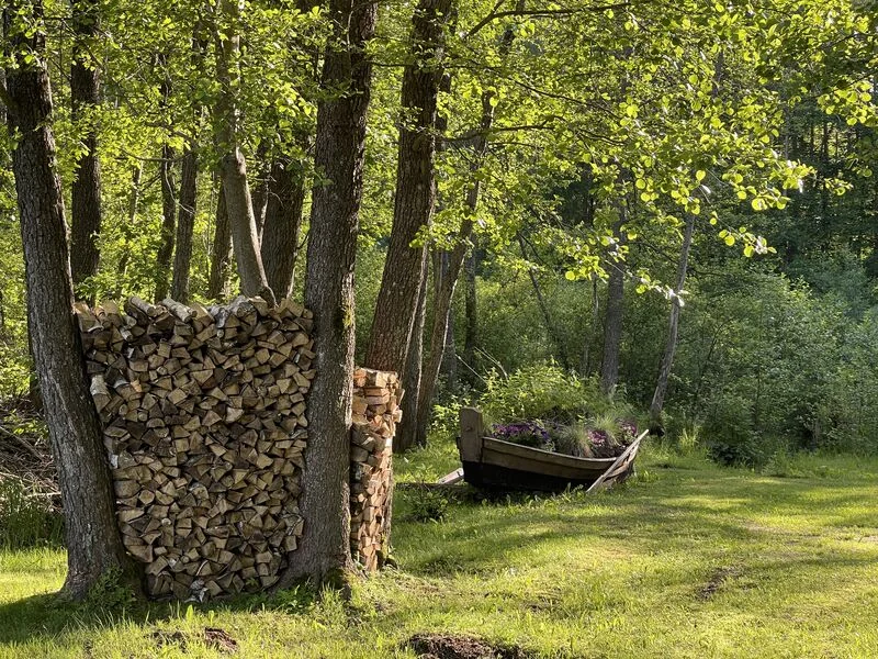 Ežero erdvės kiemas